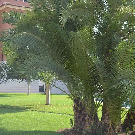 Jardines De Marinas - Royal Appartement Dénia